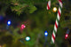 Candy Cane On Tree Wall Mural