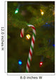 Candy Cane On A Tree Wall Mural
