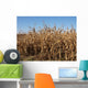 Mais Wall Mural