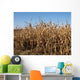 Mais Wall Mural