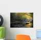 River Flowing Over Rocks Wall Mural