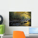 River Flowing Over Rocks Wall Mural