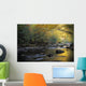 River Flowing Over Rocks Wall Mural