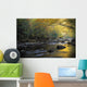 River Flowing Over Rocks Wall Mural