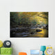 River Flowing Over Rocks Wall Mural