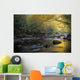 River Flowing Over Rocks Wall Mural
