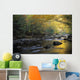 River Flowing Over Rocks Wall Mural