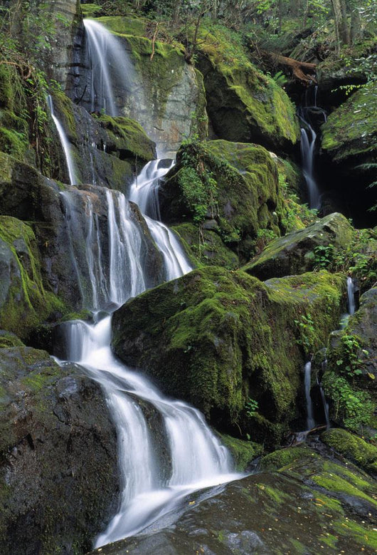 Thousand Drips Waterfall Wall Mural