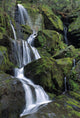 Thousand Drips Waterfall Wall Mural