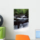 Scenic Creek, Tennessee, Usa Wall Mural