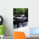 Scenic Creek, Tennessee, Usa Wall Mural