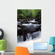 Scenic Creek, Tennessee, Usa Wall Mural