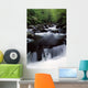 Scenic Creek, Tennessee, Usa Wall Mural