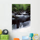 Scenic Creek, Tennessee, Usa Wall Mural
