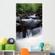 Scenic Creek, Tennessee, Usa Wall Mural
