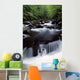 Scenic Creek, Tennessee, Usa Wall Mural