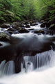 Scenic Creek, Tennessee, Usa Wall Mural
