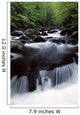 Scenic Creek, Tennessee, Usa Wall Mural