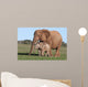 African Elephant Baby and Wall Mural