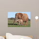 African Elephant Baby and Wall Mural