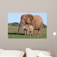 African Elephant Baby and Wall Mural