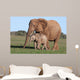 African Elephant Baby and Wall Mural