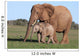 African Elephant Baby and Wall Mural