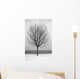 Bare Tree All Alone Wall Mural