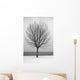 Bare Tree All Alone Wall Mural