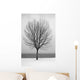 Bare Tree All Alone Wall Mural