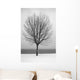 Bare Tree All Alone Wall Mural