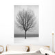 Bare Tree All Alone Wall Mural