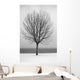 Bare Tree All Alone Wall Mural