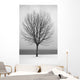 Bare Tree All Alone Wall Mural
