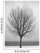 Bare Tree All Alone Wall Mural