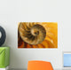 Inside Of Nautilus Shell Wall Mural