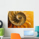 Inside Of Nautilus Shell Wall Mural