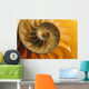 Inside Of Nautilus Shell Wall Mural