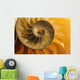 Inside Of Nautilus Shell Wall Mural