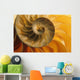 Inside Of Nautilus Shell Wall Mural
