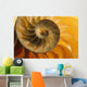 Inside Of Nautilus Shell Wall Mural