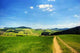 Away Hills Wall Decal Design 2