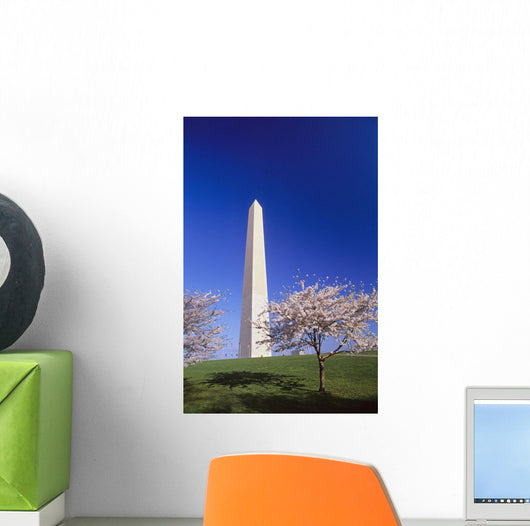 Washington Monument Wall Mural