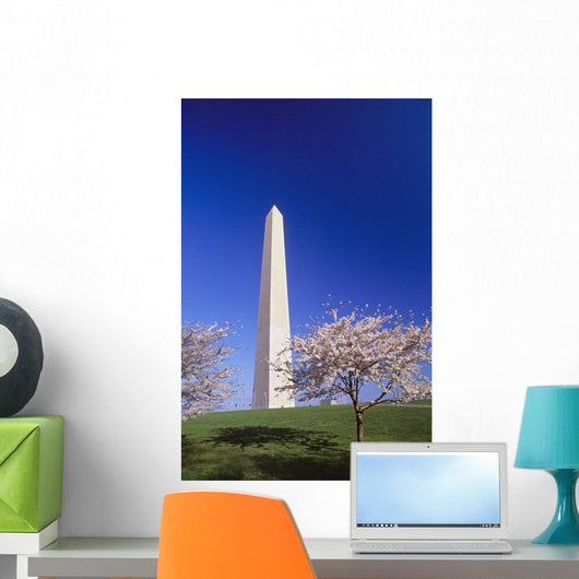 Washington Monument Wall Mural
