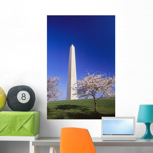 Washington Monument Wall Mural