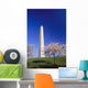 Washington Monument Wall Mural