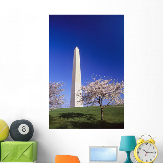 Washington Monument Wall Mural
