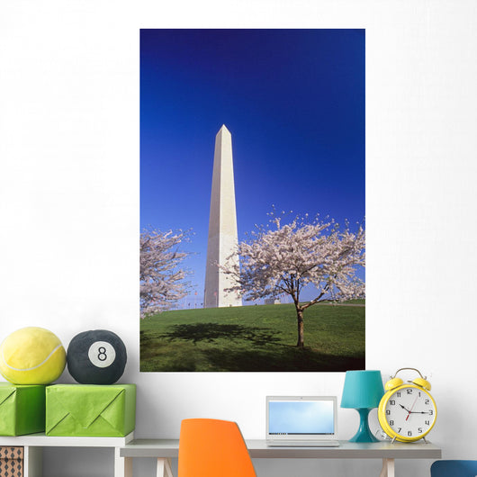 Washington Monument Wall Mural
