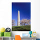 Washington Monument Wall Mural