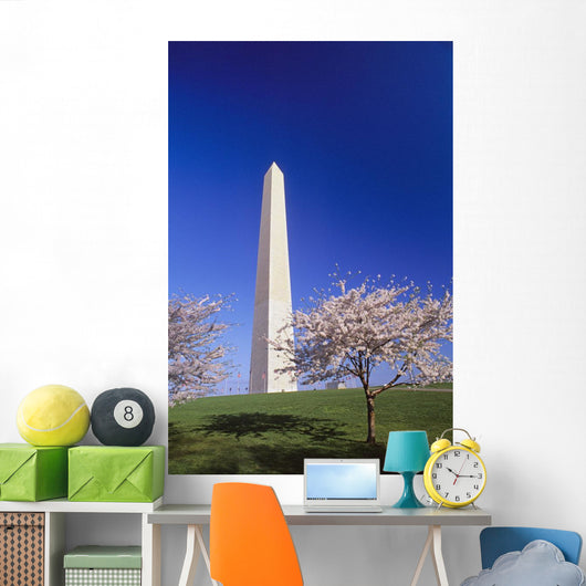 Washington Monument Wall Mural
